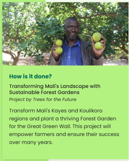 Tourism Seychelles Strengthens Regional Sustainability Through Tree-Planting Partnership
